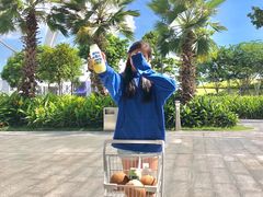 -蔻蔻椰·鲜萃椰子水(欢乐港湾店)