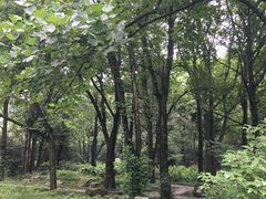 -黄公望隐居地