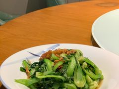 有机小炒油菜心-新海渔港·胶东海鲜家常菜·家宴(奥体中心店)