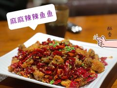 疯狂麻辣鱼-望京一号(菜户营店)