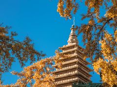 -北京石刻艺术博物馆(五塔寺)