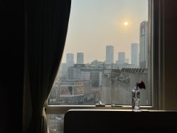 -明宇集团·积木枝芽母婴健康管理中心(天府店)