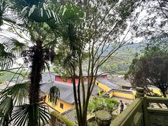 -阿育王寺
