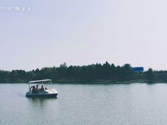 -合肥滨湖国家森林公园