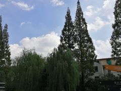 -兰溪青年公园