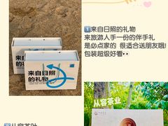 -日照海滨国家森林公园