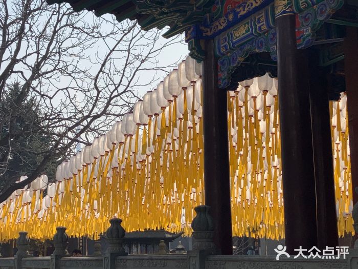 护国法轮寺图片