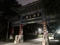 -莱西月湖公园