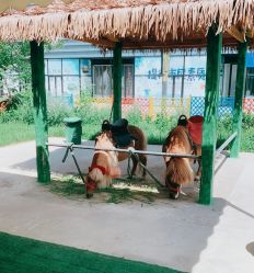 -萌宠亲子动物乐园(槐房万达店)