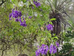 -广州神农草堂中医药博物馆