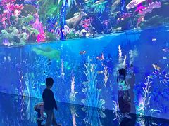 -中国湿地博物馆