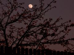 -白石龙音乐公园