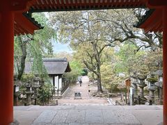 -奈良公园