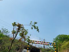 -铁山坪森林公园