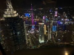-上海柏悦酒店