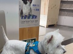 -爱侣宠医·鹦鹉专科·小型哺乳类·异宠专科(灵石路店)