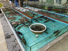 -景好海鲜餐厅(大鹏必选旅游店)