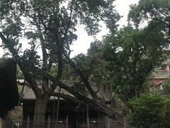 -晋祠公园