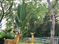-深圳野生动物园