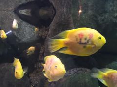 -苏州海洋馆