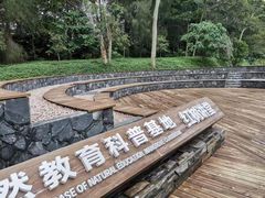 -华侨城湿地公园