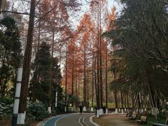 -苏州河梦清园环保主题公园