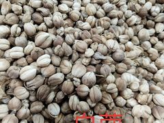 -杭州冷冻食品交易市场