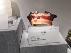 -湖南省地质博物馆