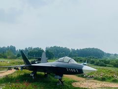 -空港花田景区