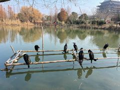 -长兴太湖图影湿地文化园