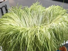 -尤素福东举院饺子馆