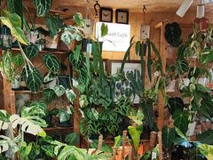 -Rabbit Cafe私房西餐甜点咖啡(栖霞路店)