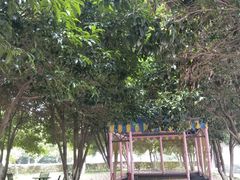 -象山森林公园