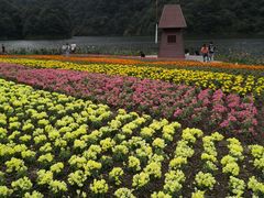 -广州市石门国家森林公园
