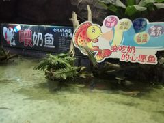 -烟台海昌鲸鲨海洋公园