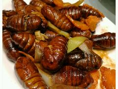 -渔娘渔家丹东海鲜(东直门店)