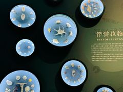 -中国湿地博物馆