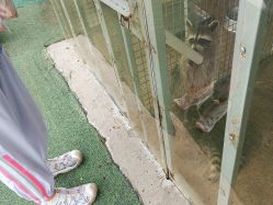 -萌宠亲子动物乐园(槐房万达店)