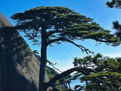 -黄山风景区