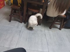 -家烧面馆【南山路知名经典面食】