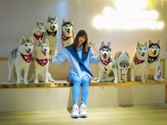 -Husky Go! 哈士奇体验馆·宠物咖啡厅狗咖