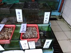 -新湛拱(兰埔路店)