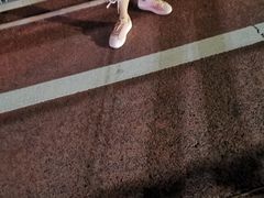 -澳门环岛游湾仔码头