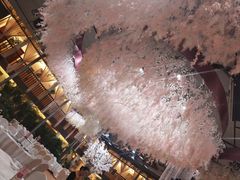 -雅和生态渔庄·宜城锅巴饭(龙灵山公园店)