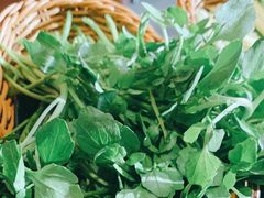 西洋菜-官也街澳门火锅(新源里店)
