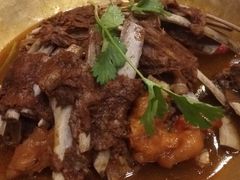 -芦月轩羊蝎子(北蜂窝店)