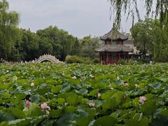 -莲池书院博物馆