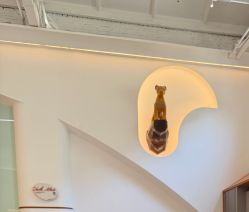 -马克叔叔的照相馆(东门店)