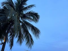 -海角轩·三亚文华东方酒店