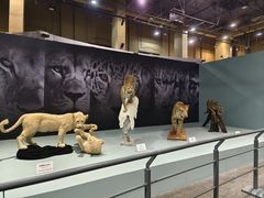 -国家自然博物馆